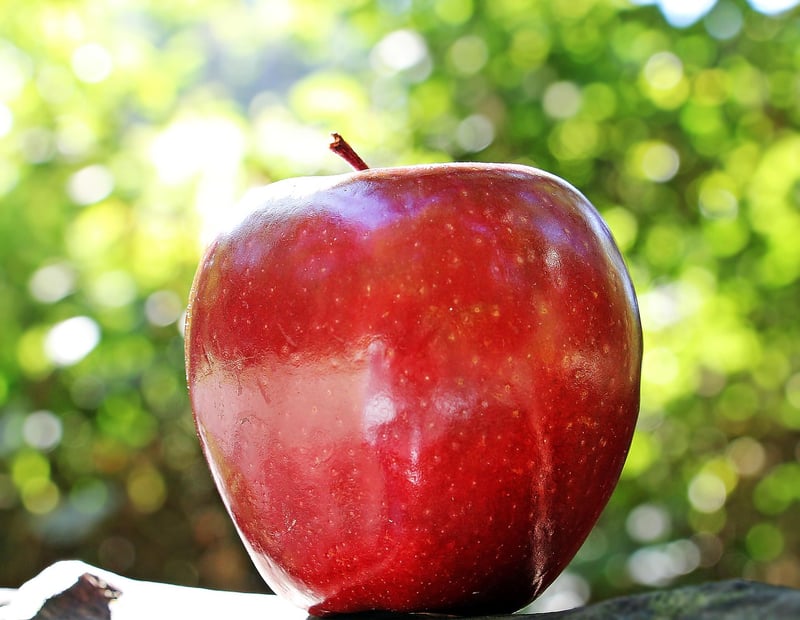 Nutrition Image